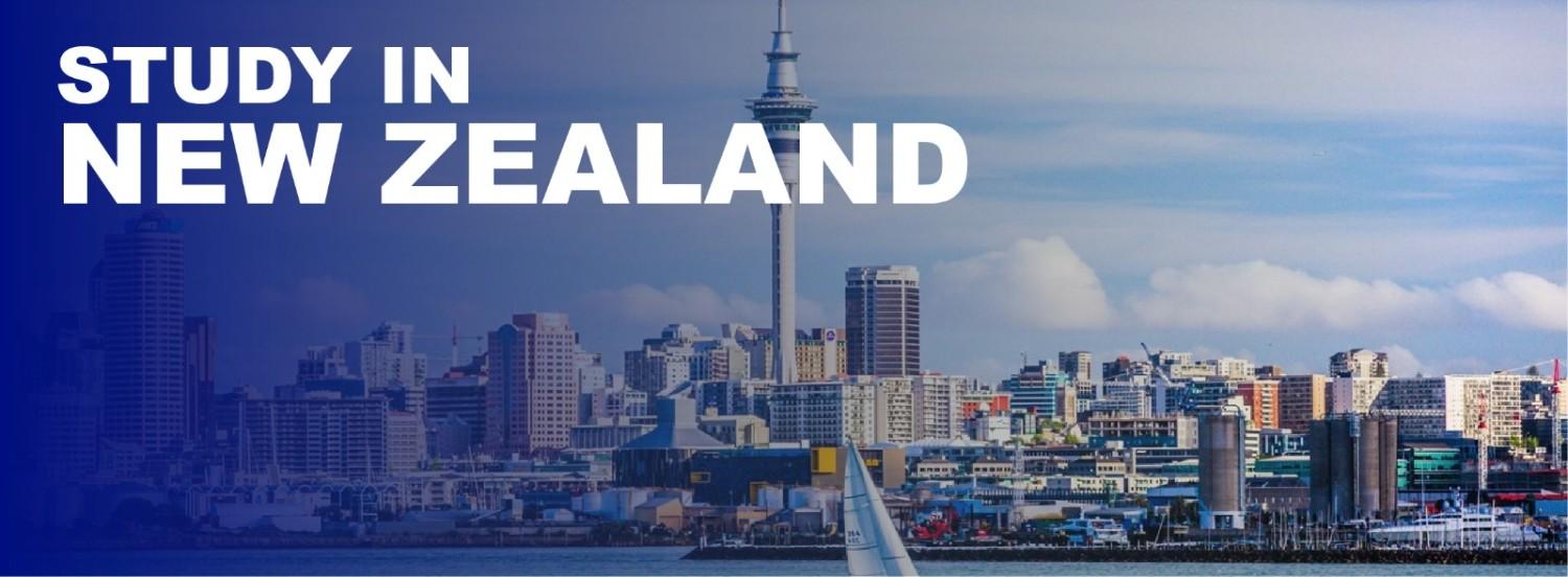 study abroad banner